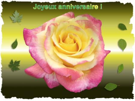 aniv 